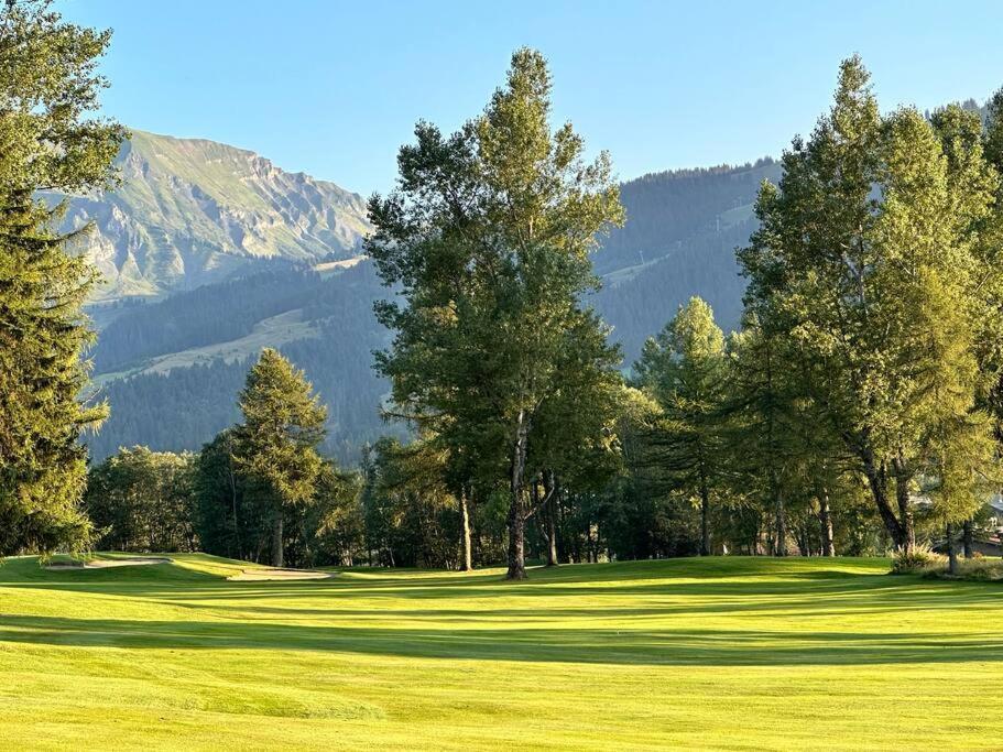 Chalet Mont D'Arbois Ski Et Golf 梅杰夫 外观 照片